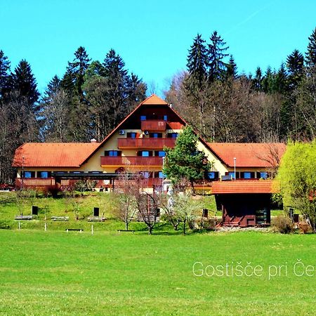 Guesthouse Pri Cebelici Lukovica pri Domžalah Exterior foto