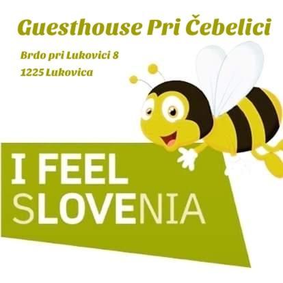 Guesthouse Pri Cebelici Lukovica pri Domžalah Exterior foto